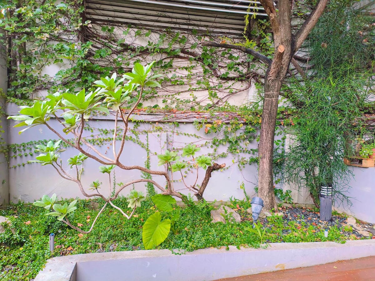 寵物友善餐廳|台中市|西區|千汌日本料理|秋蟹套餐|寵物可落地|慶生|包廂 - 第2張圖