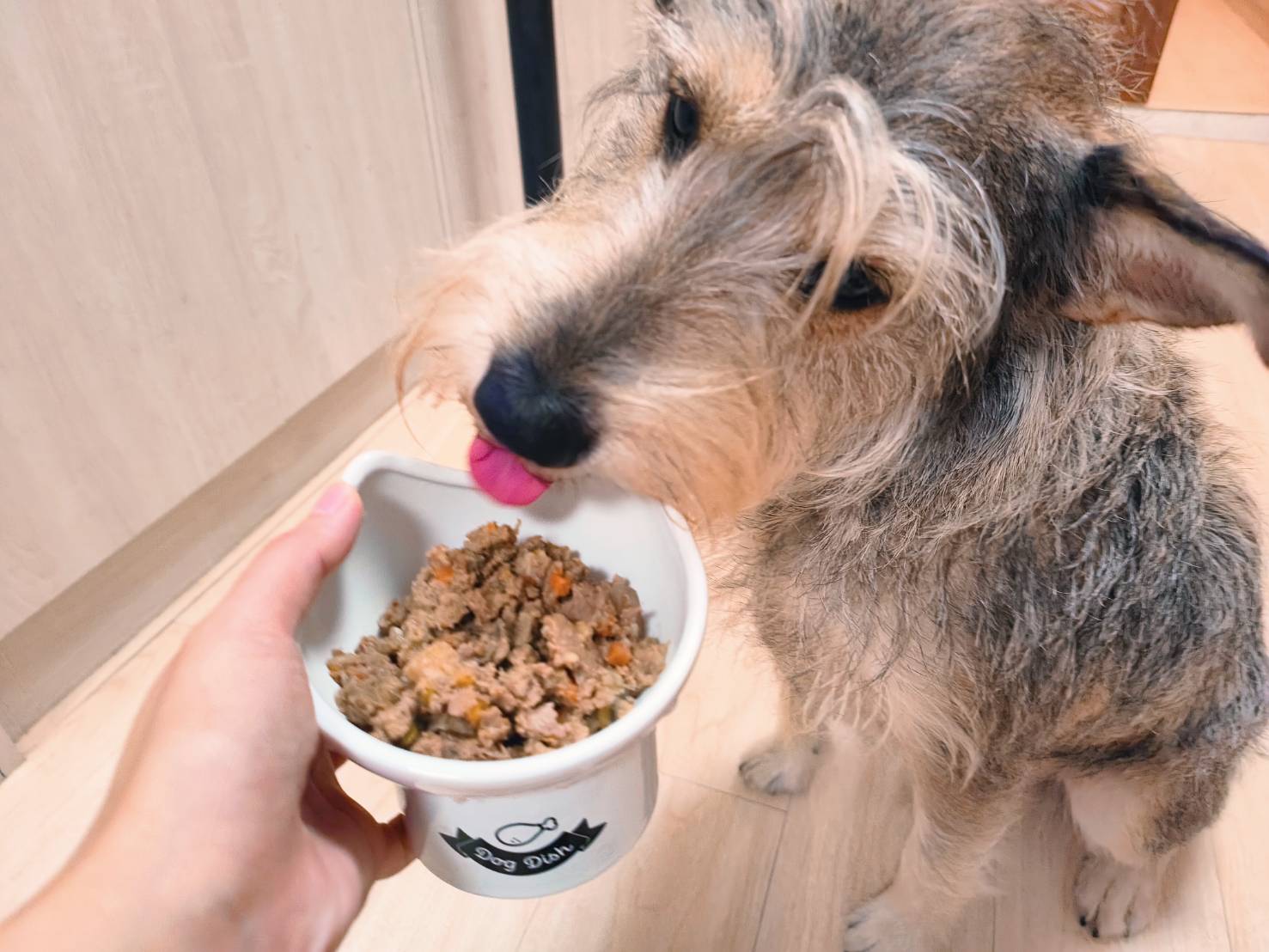 和匠寵饗 coco-gourmet｜寵物鮮食｜獸醫師監製｜開封即食｜常溫保存｜無穀