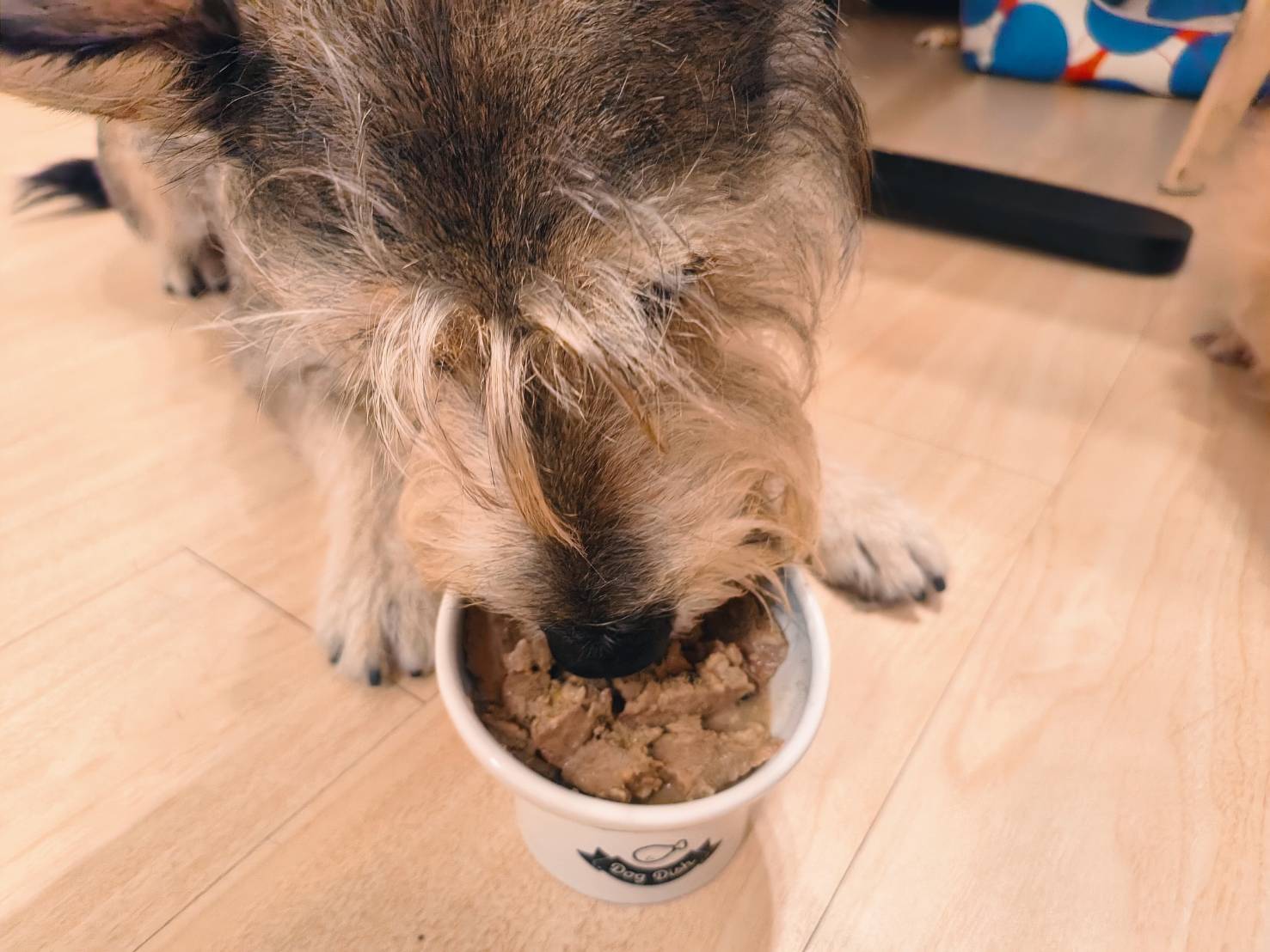 和匠寵饗 coco-gourmet｜寵物鮮食｜獸醫師監製｜開封即食｜常溫保存｜無穀